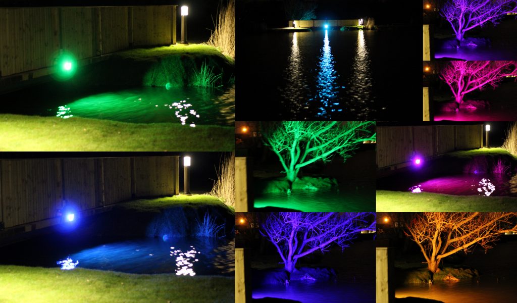 Lake and Tree Lighting